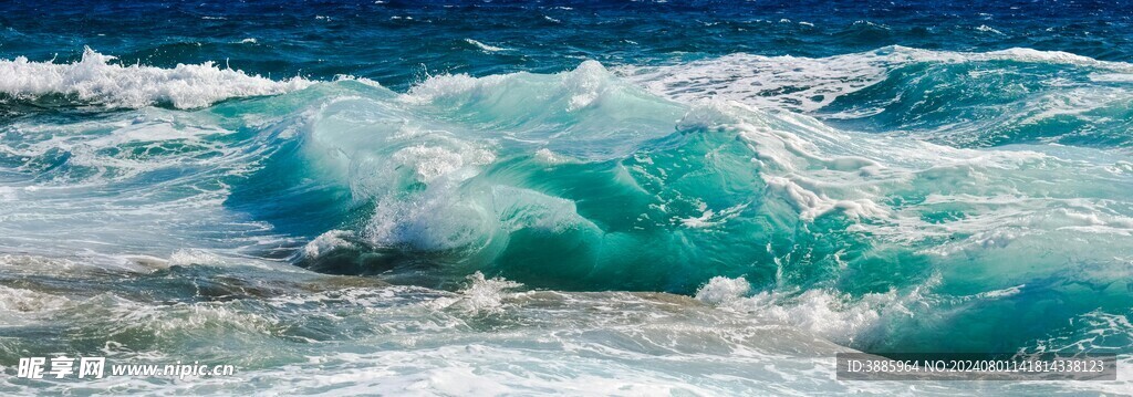 海浪花图片