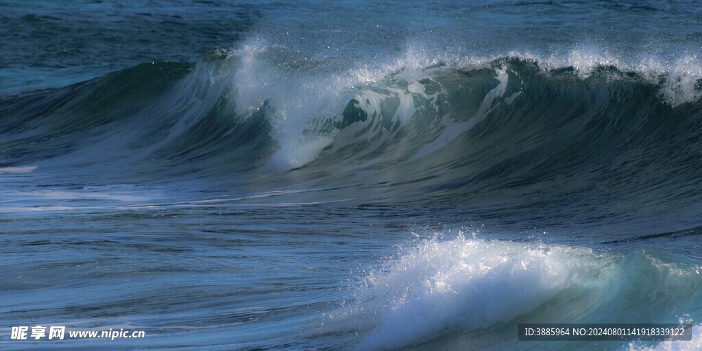 海浪花图片
