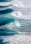 海浪花图片