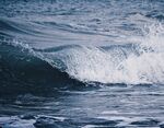 海浪花图片
