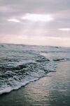  海浪花图片