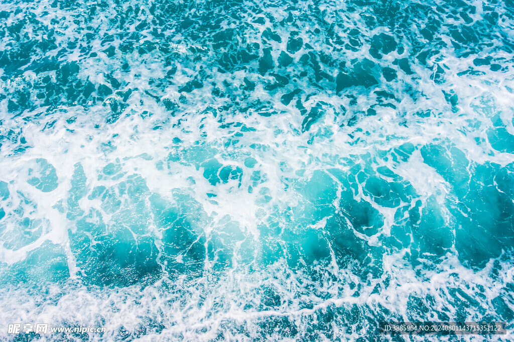 海浪花图片