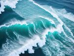 海浪花图片