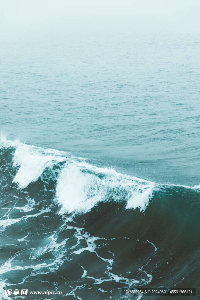 海浪花图片