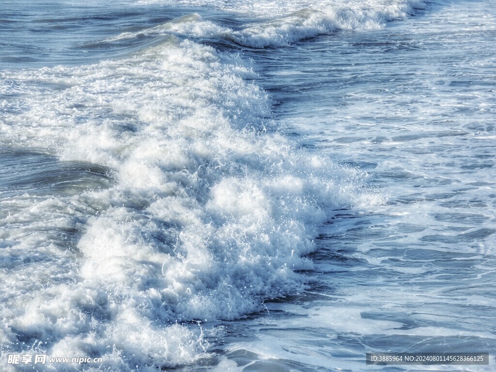 海浪花图片