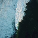 海浪花图片