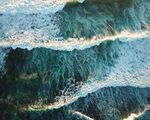 海浪花图片