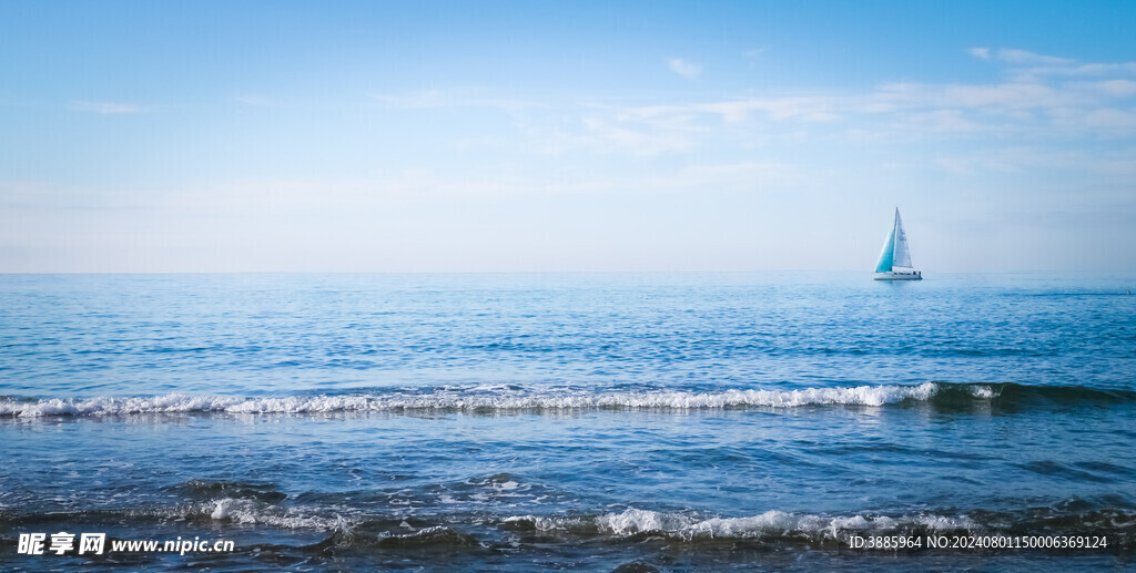 海浪花图片