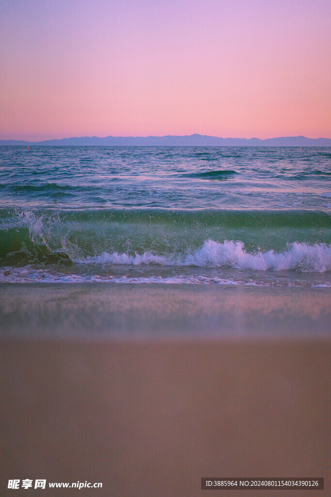 海浪花图片