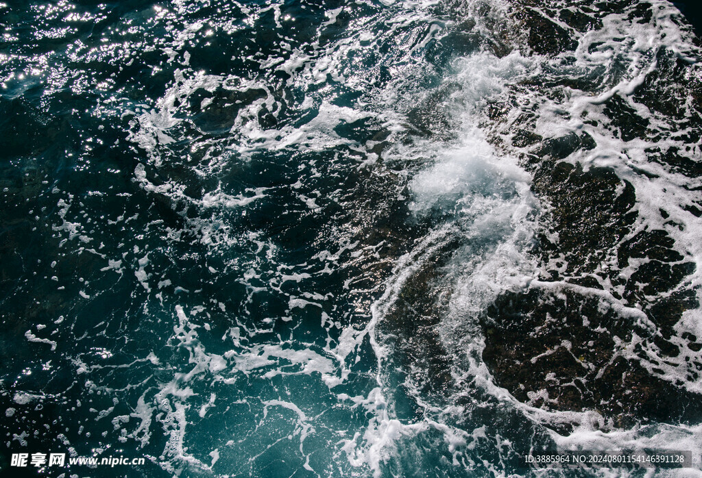 海浪花图片