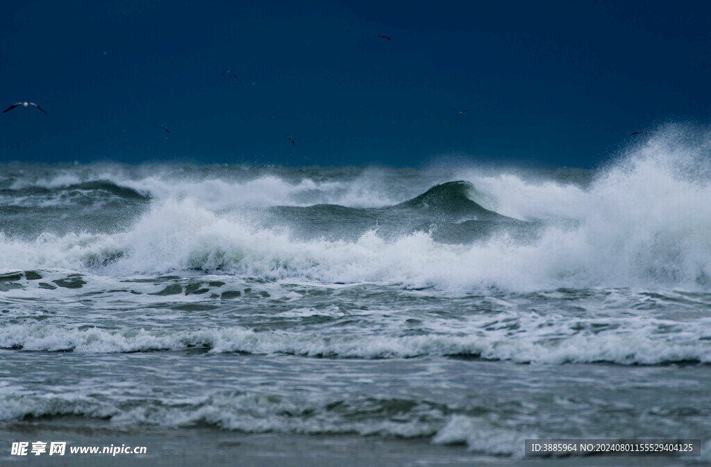 大海 浪花 海边 海浪 海水图