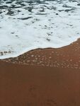 大海 浪花 海边 海浪 海水图