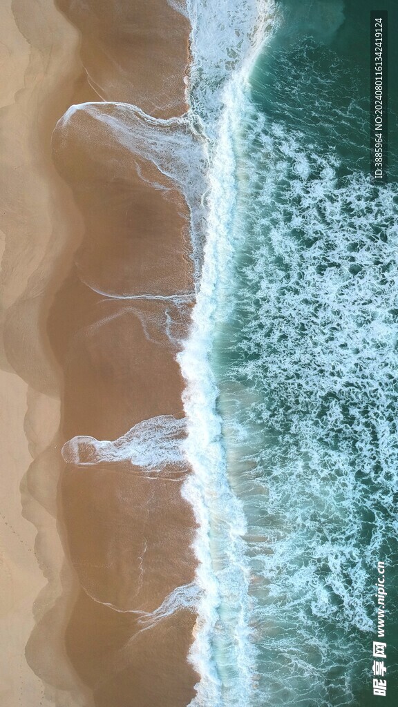 海浪花图片