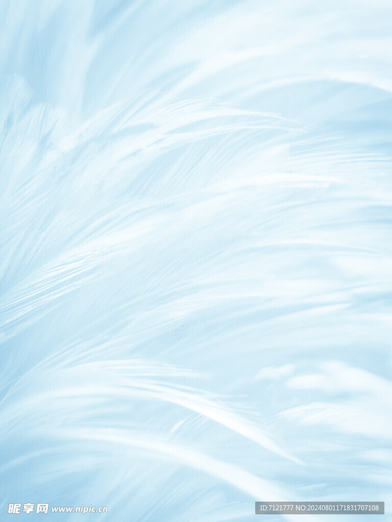 羽毛