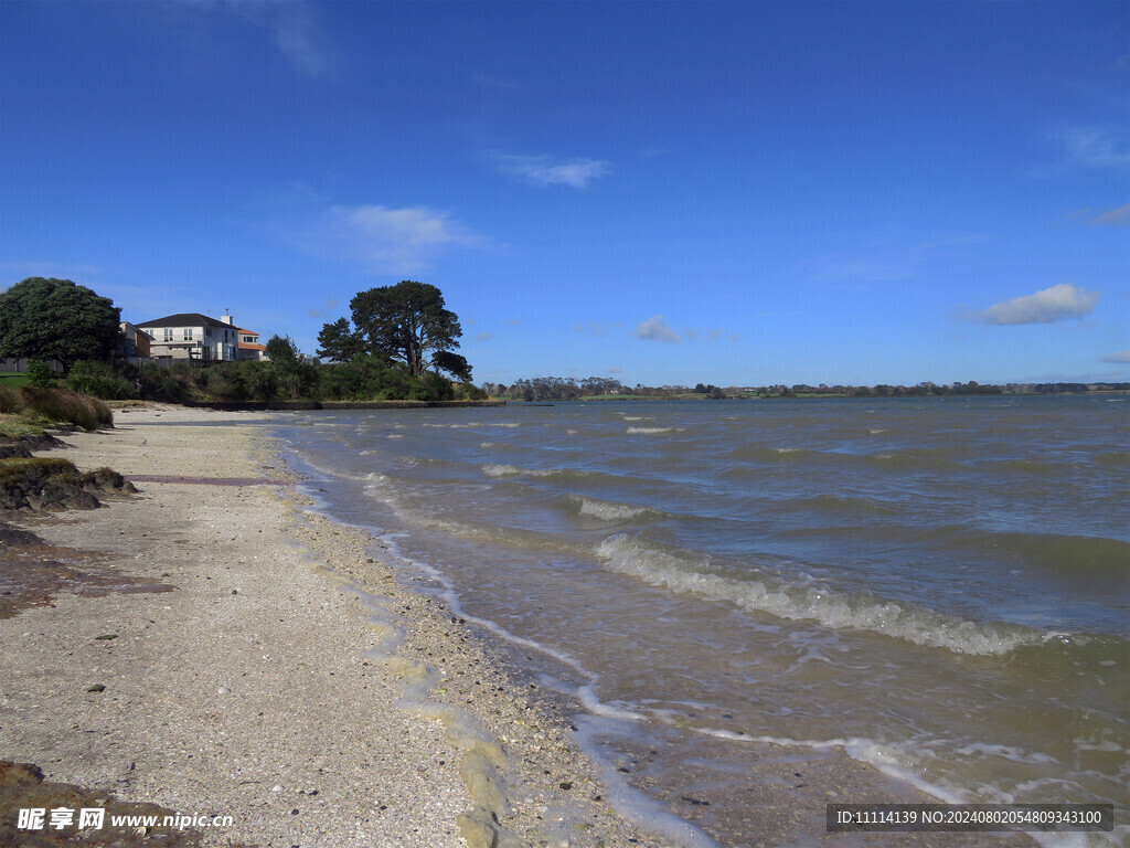 奥克兰海边风景