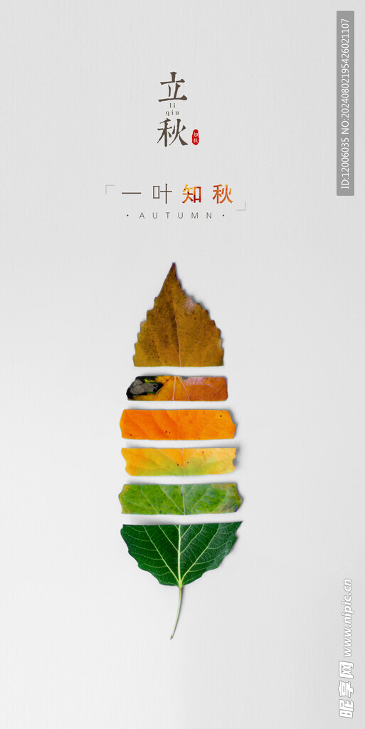 立秋海报设计