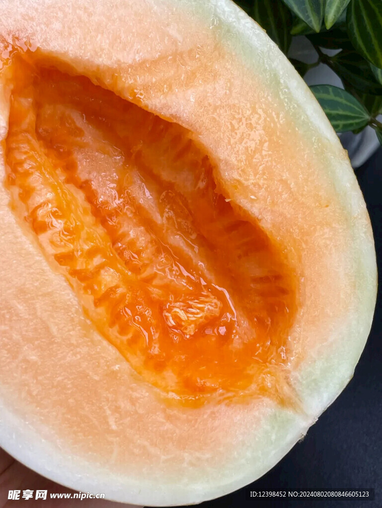 哈密瓜