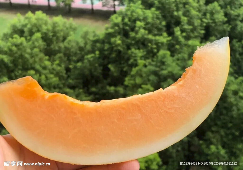 蜜瓜