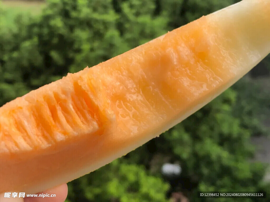蜜瓜