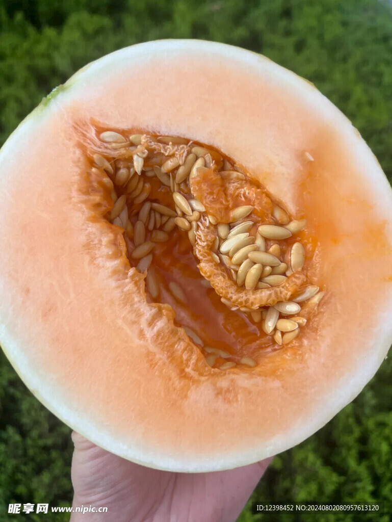 哈密瓜