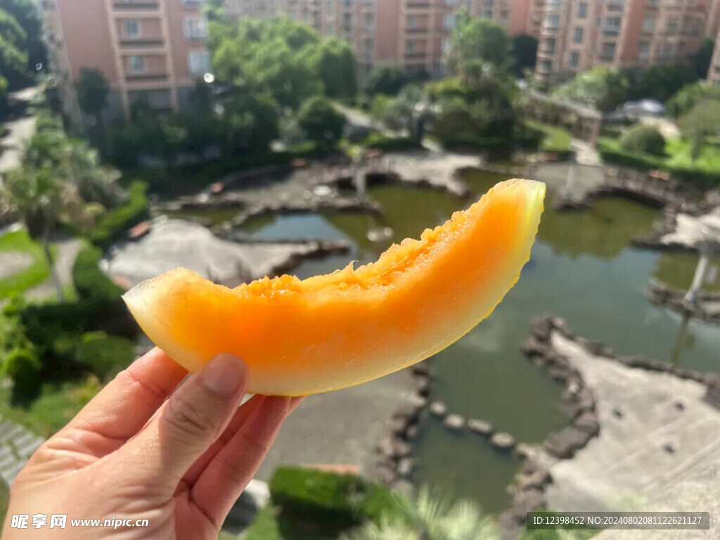 哈密瓜