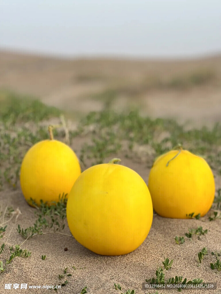 哈密瓜