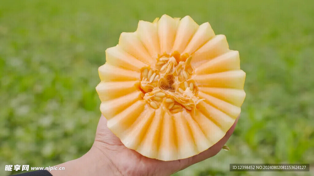 哈密瓜