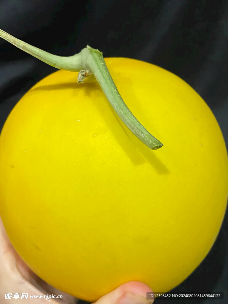 蜜瓜