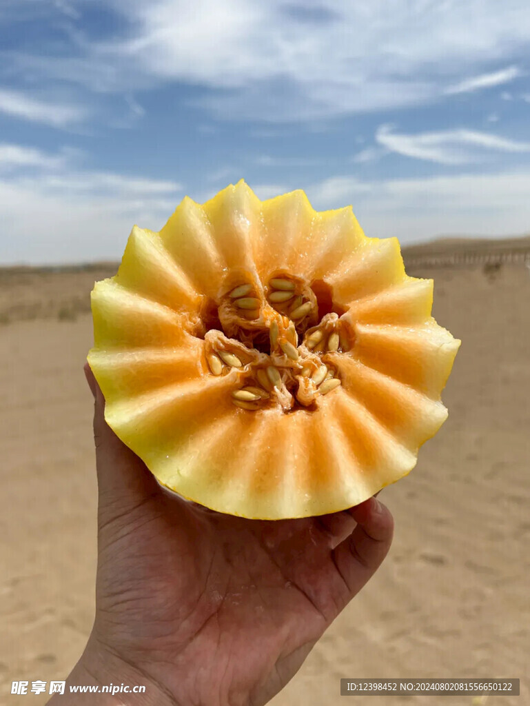 蜜瓜