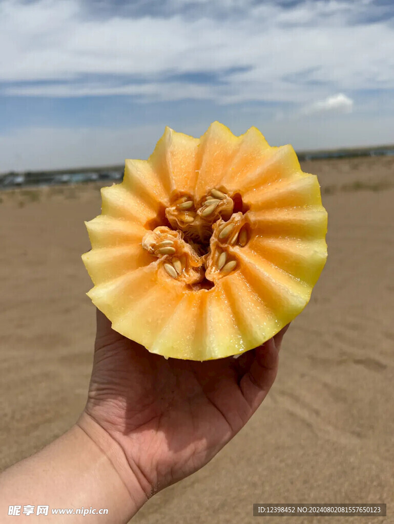 蜜瓜