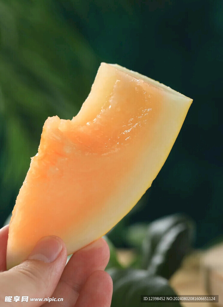 蜜瓜