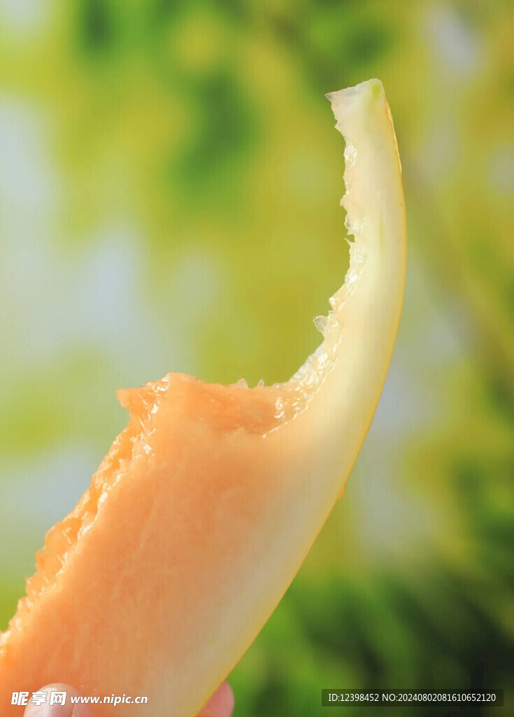 蜜瓜