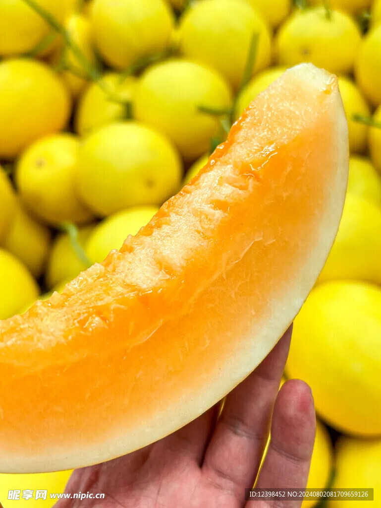 哈密瓜
