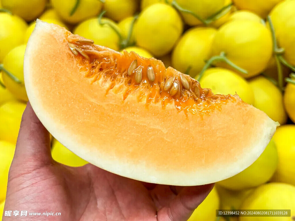 哈密瓜