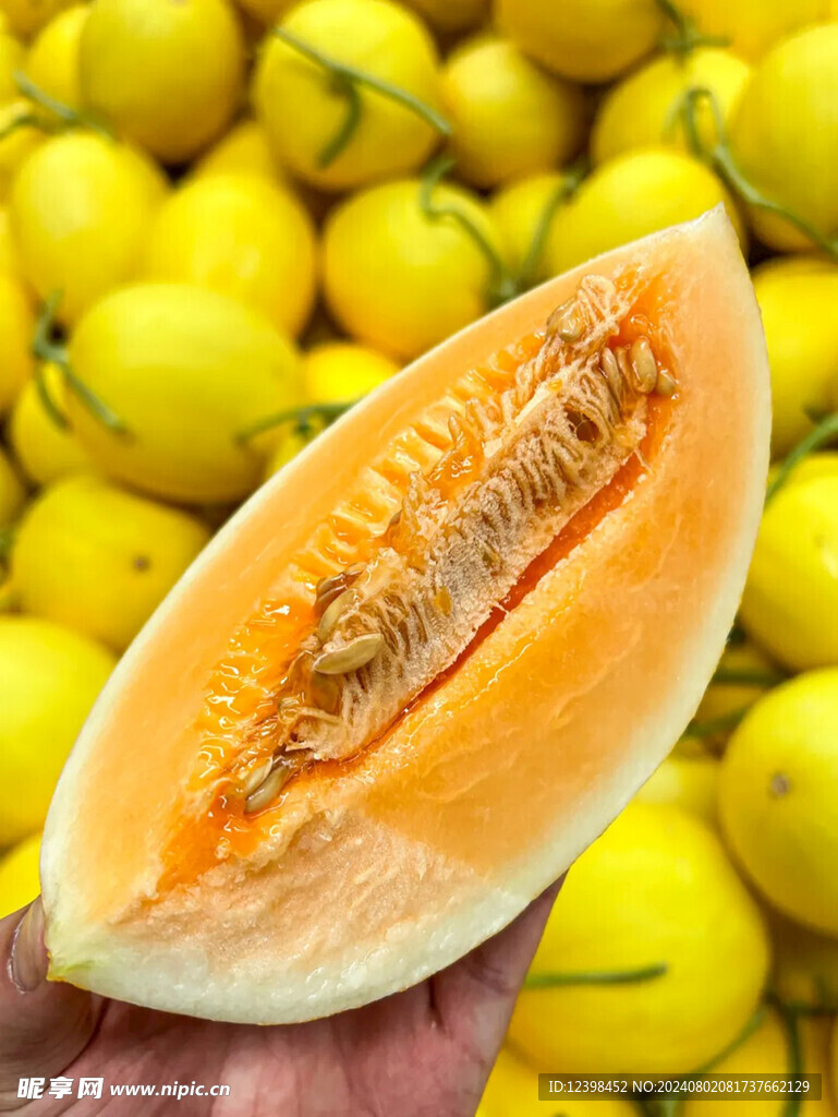 蜜瓜