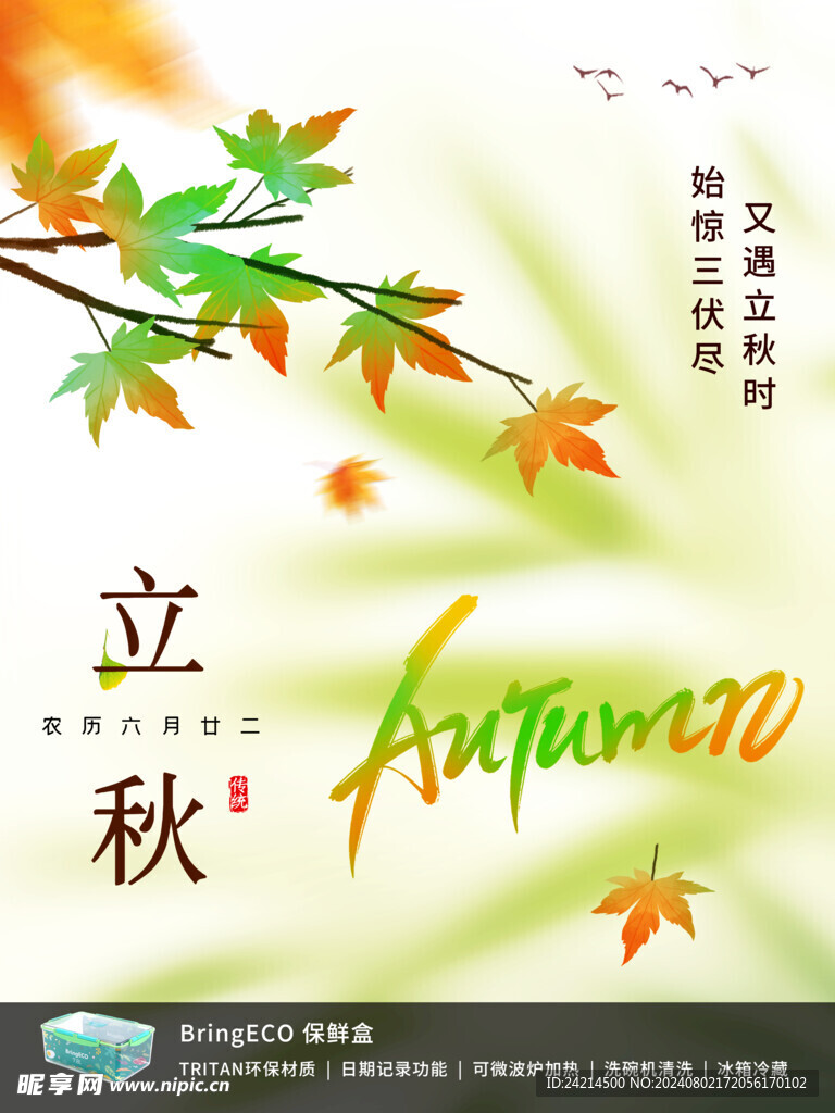 立秋海报