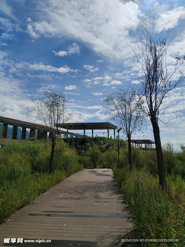 旅游照片