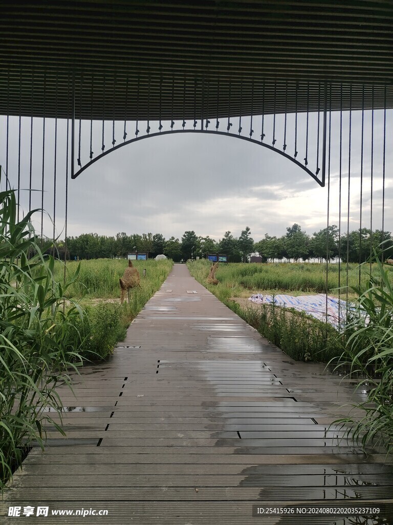 旅游照片