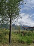 旅游照片