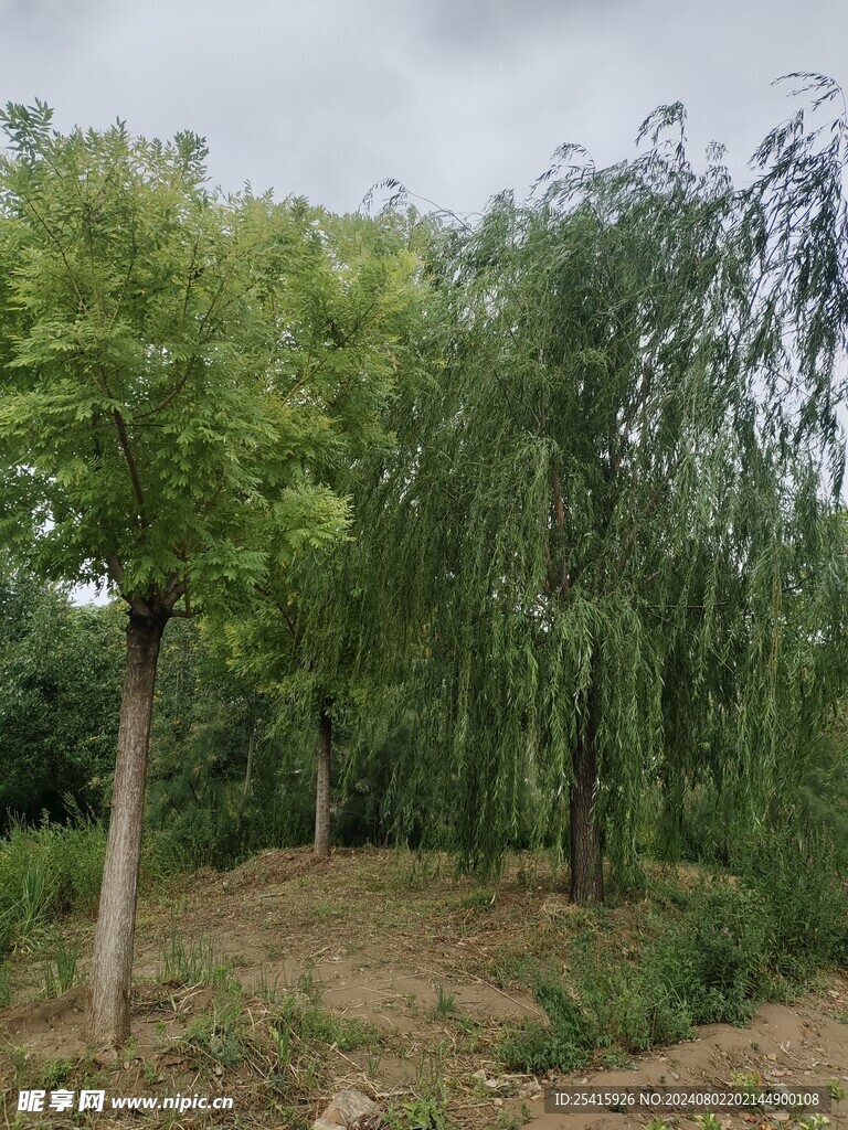 风景照片