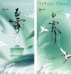 白露节气海报