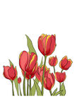 郁金香花简笔画