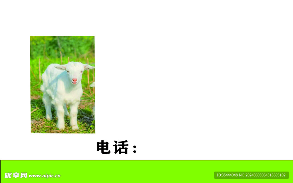 收羊名片反面