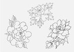 矢量花朵