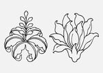 玉兰花