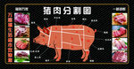 猪肉分割图