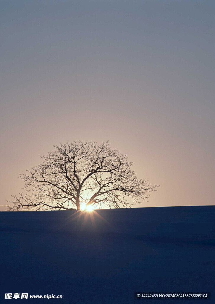 夕阳