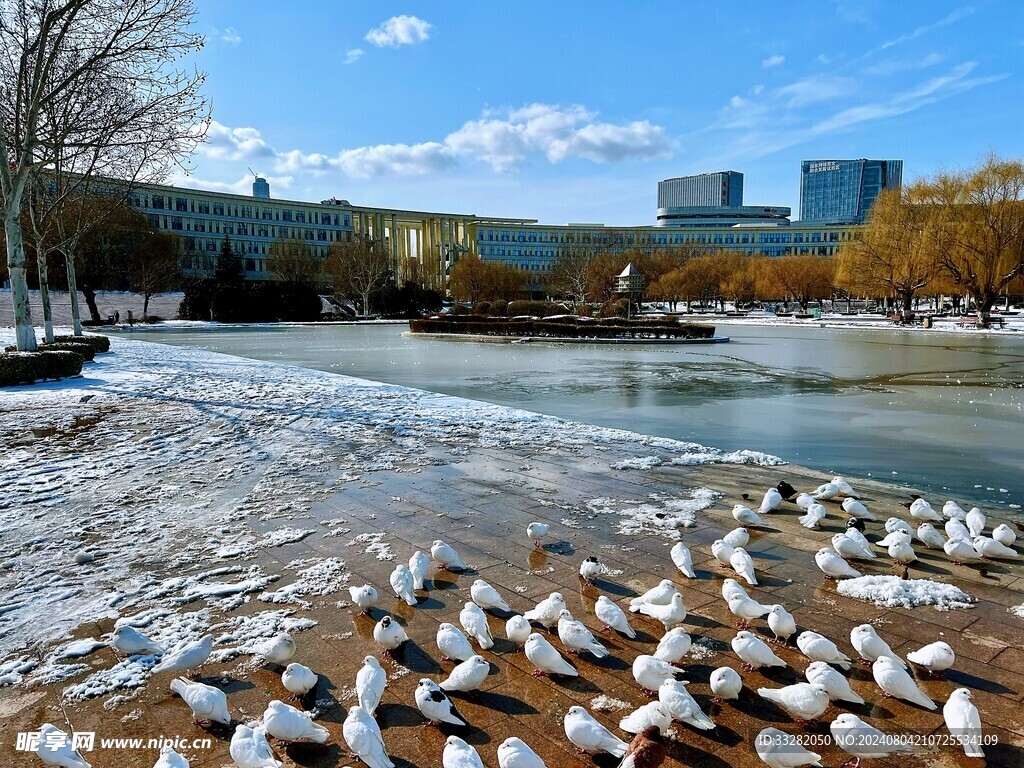 城市雪景