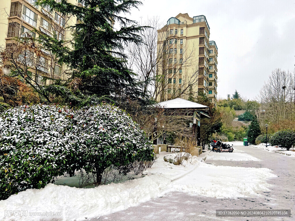 城市雪景