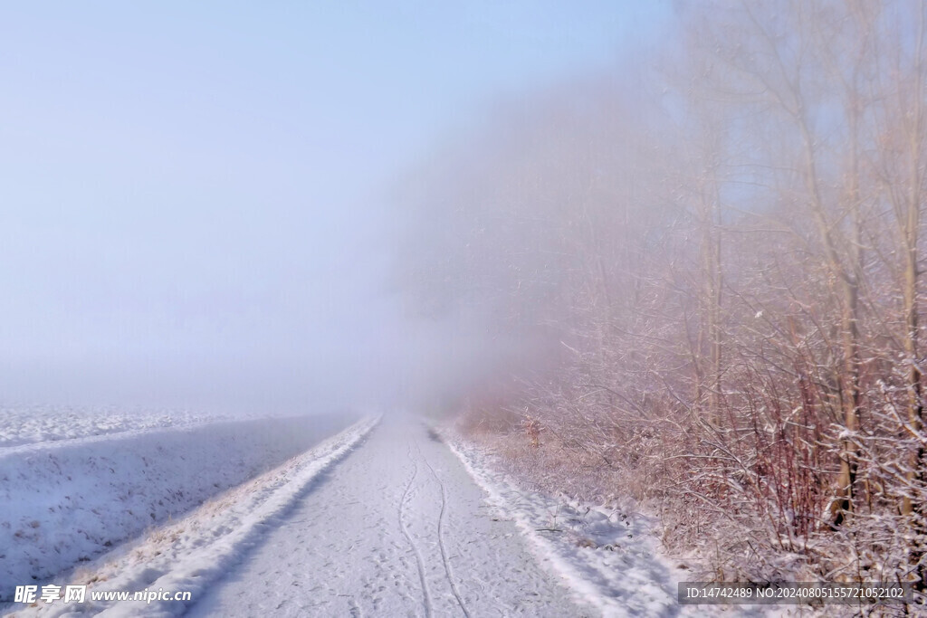 冰天雪地